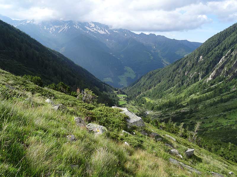 Quelle: http://www.sentres.com/de/bergtour/wollbachspitze